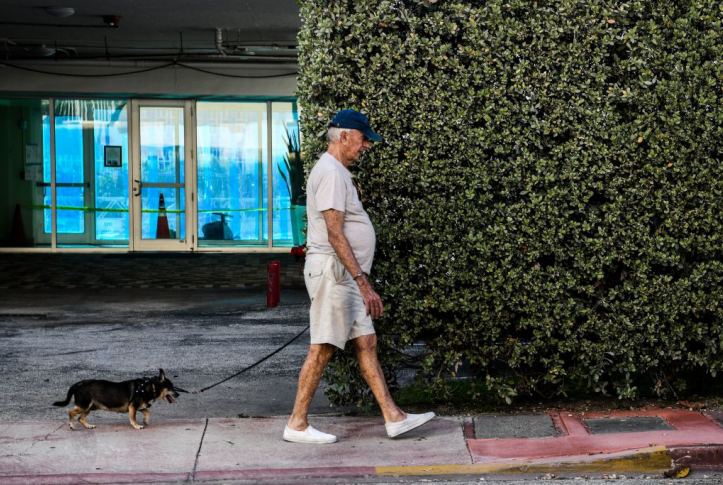 elderly man in baseball cap walks tiny dog on sidewalk